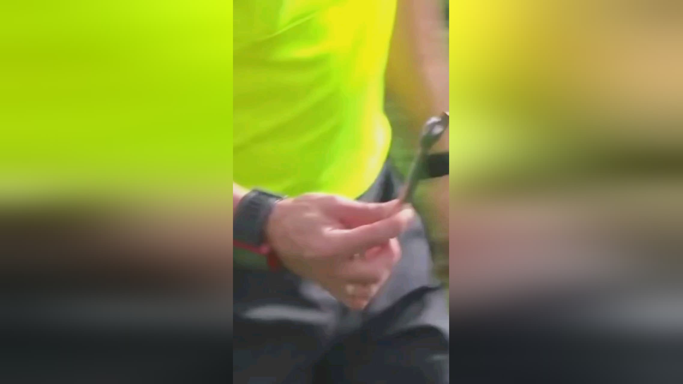 手可
